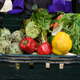 CSA produce box